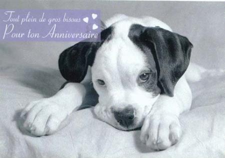 bon anniversaire mon amour