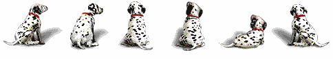 dalmatien