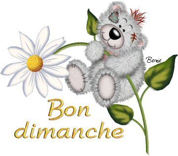 bon dimanche