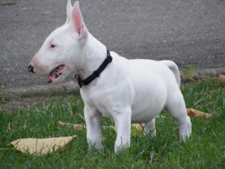 quelque photo de doki