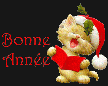 bonne ann�e 2008