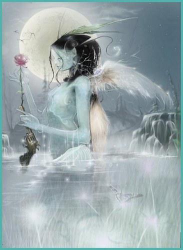 quelques images vu que je ne prend pas beaucoup de photos en ce moment